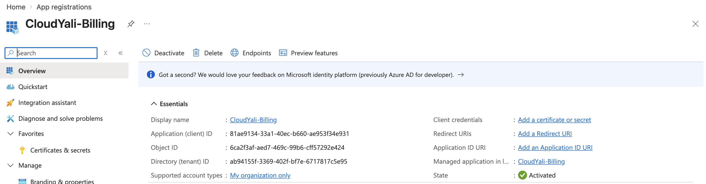 App Registration Overview page showing Application (client) ID and Directory (tenant) ID fields